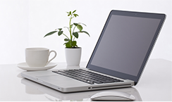 Handling Items of Refurbish